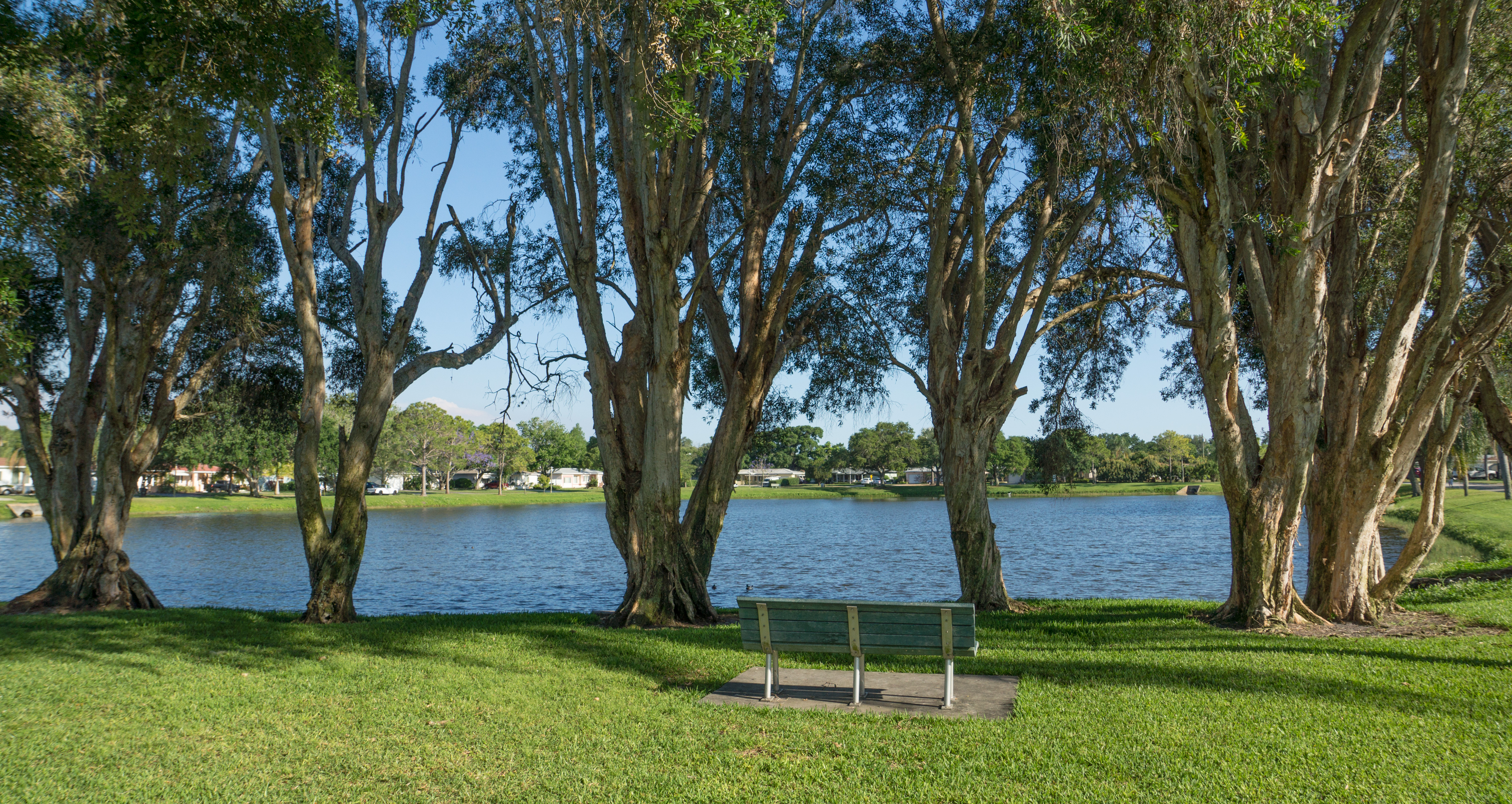 Disston Heights, St. Petersburg Real Estate Homes & Condos For Sale Homes for Sale